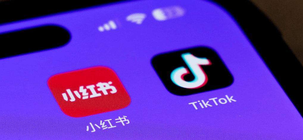 我所观察到的小红书 Tiktok 难民现象